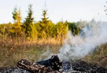 Photo of Лесной пожар угрожает пригородам