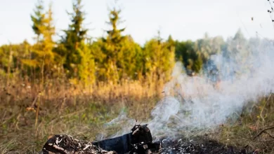 Photo of Лесной пожар угрожает пригородам
